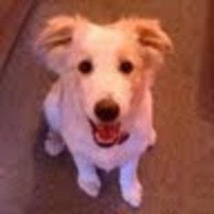 Meet your Posher, Traci